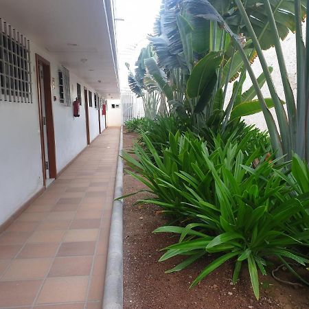 El Apartamento De Concha San Agustin  Bagian luar foto